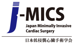Japan MICS Summit