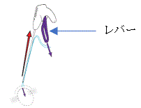 使用方法の手順